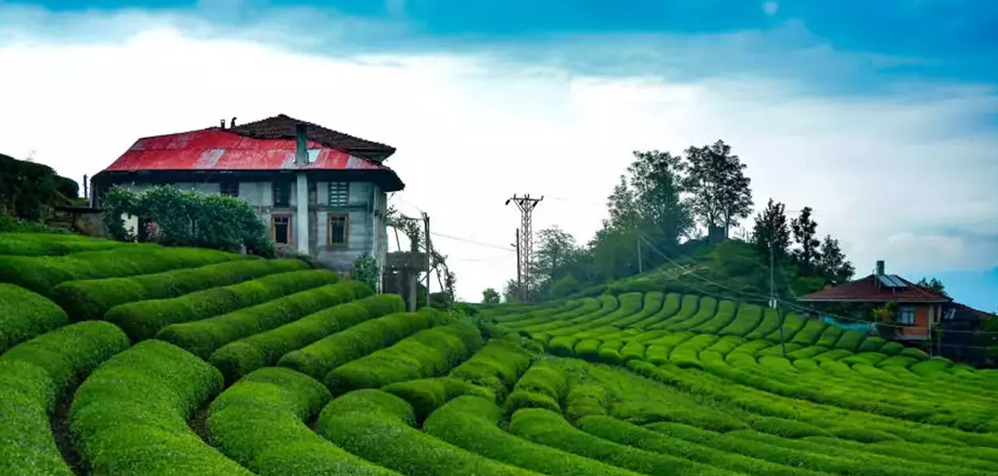 Özel Rize Turu